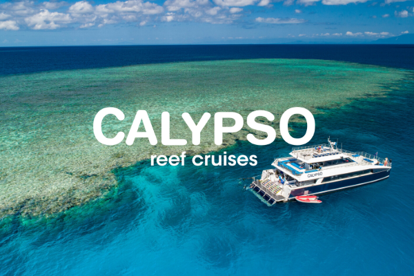 calypso reef cruises discount