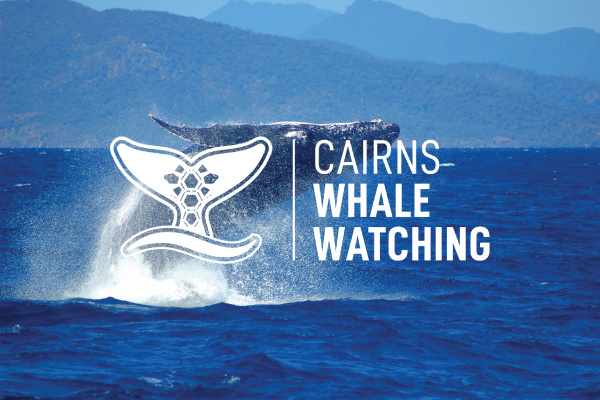 Cairns-Whale-Watching-Tile